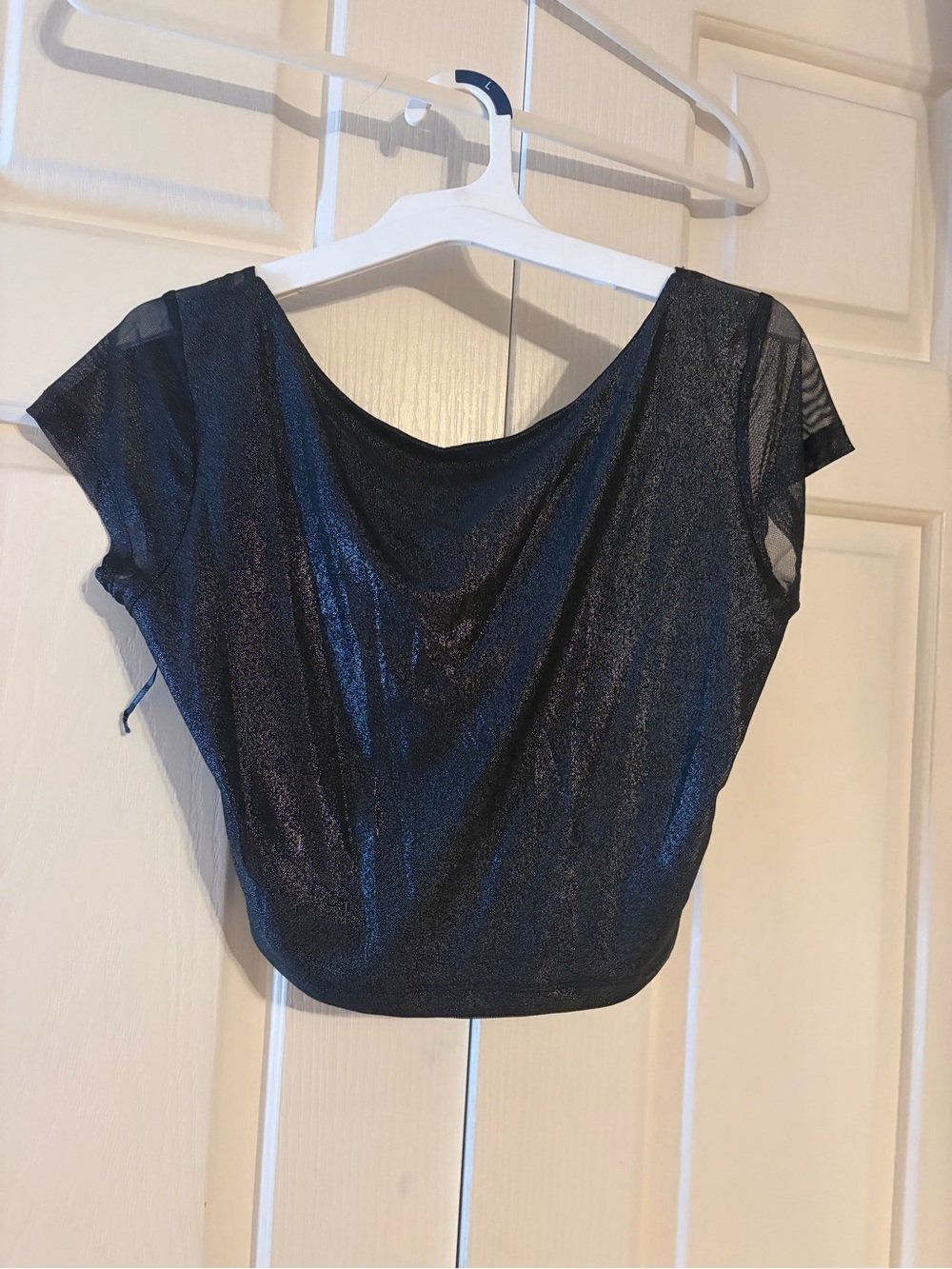 Refuge Metallic Black Crop Top with Sheer Sleeves